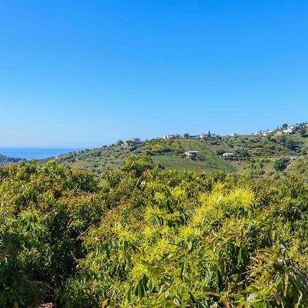 Villa Javier De Frigiliana By Ruralidays Экстерьер фото